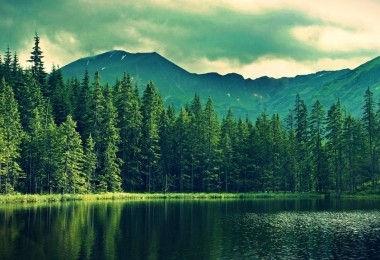 華時捷環保入選《國家鼓勵發展的重大環保技術裝備目錄》技術裝備支撐單位